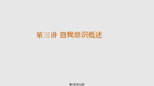 自我意识概述PPT课件