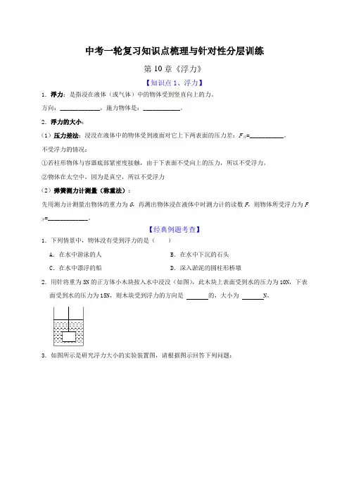 第10章 浮力(原卷版)