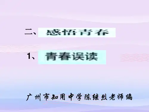 感悟青春ppt优秀课件8 人教版PPT课件