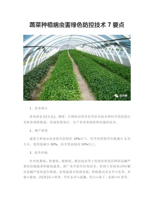 蔬菜种植病虫害绿色防控技术7要点