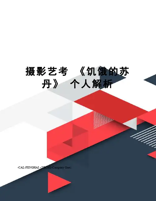 摄影艺考 《饥饿的苏丹》 个人解析