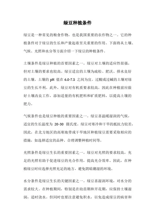 绿豆种植条件