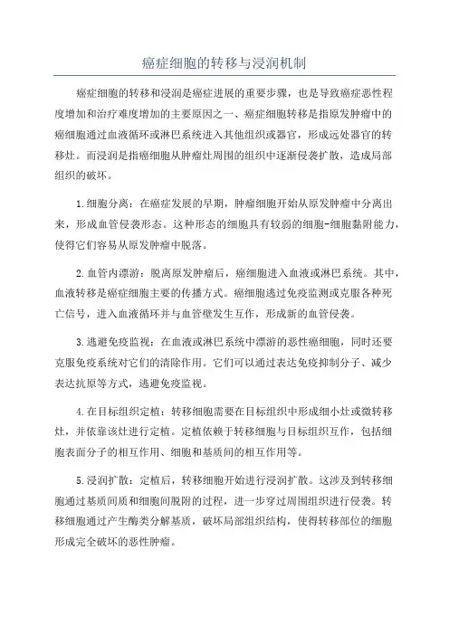 癌症细胞的转移与浸润机制