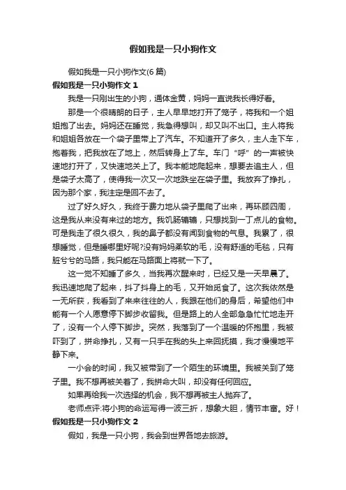 假如我是一只小狗作文（6篇）