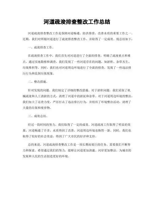 河道疏浚排查整改工作总结
