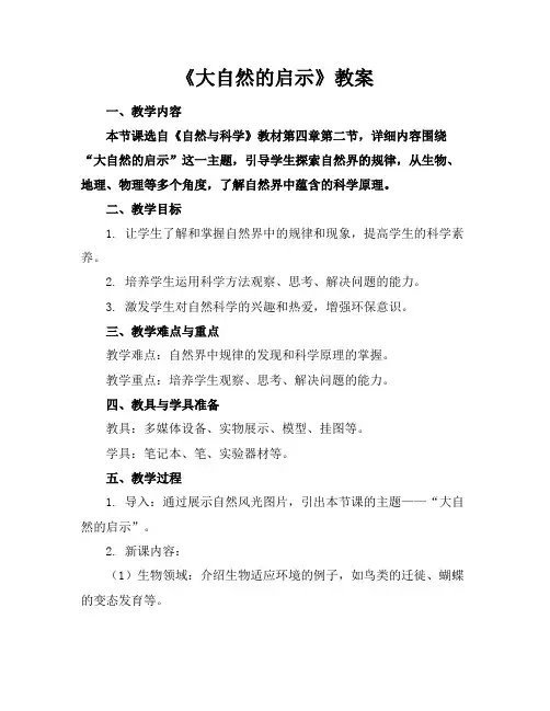 《大自然的启示》教案