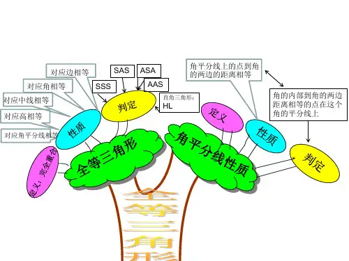 全等三角形知识树及重难点
