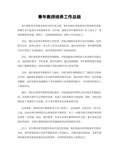 青年教师培养工作总结