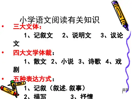小学语文阅读(课堂PPT)