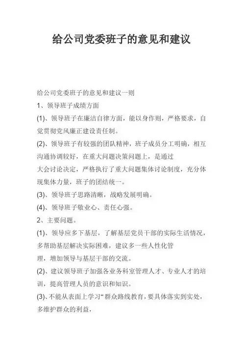 给公司党委班子的意见和建议