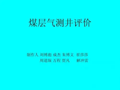 煤层气测井评价