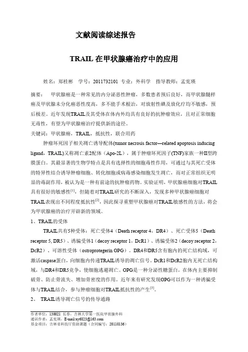 文献阅读综述报告