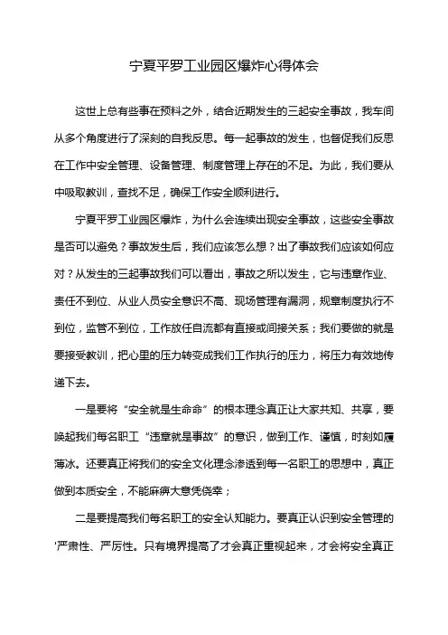 宁夏平罗工业园区爆炸心得体会