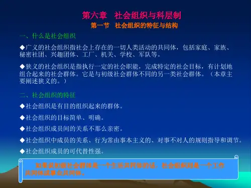 第六章社会组织与科层制