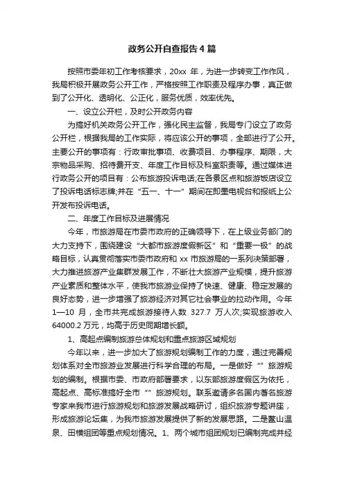 政务公开自查报告4篇