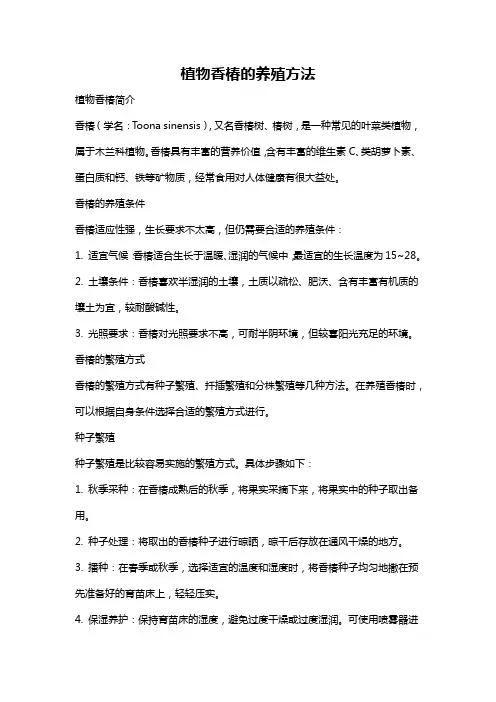 植物香椿的养殖方法