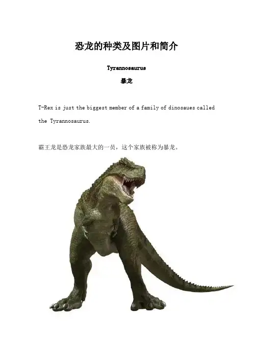 恐龙的种类及图片和简介