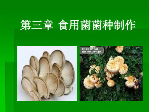 第三章 食用菌菌种制作