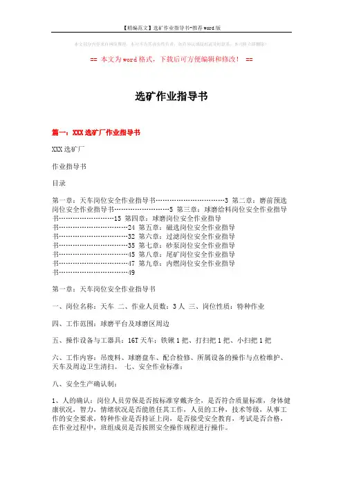 【精编范文】选矿作业指导书-推荐word版 (11页)