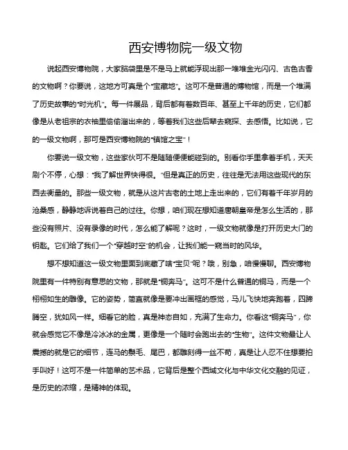 西安博物院一级文物