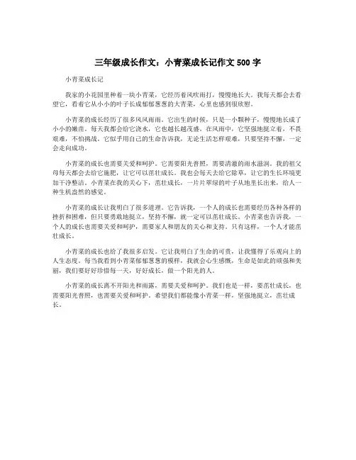 三年级成长作文：小青菜成长记作文500字