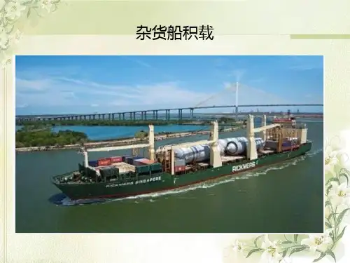 杂货船各类杂货的积载