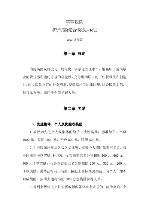 护理部综合奖惩办法(修订版)
