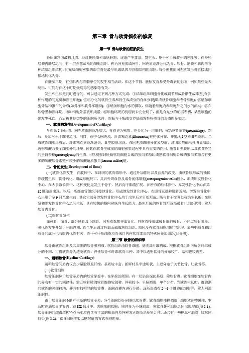 第三章 骨与软骨损伤的修复