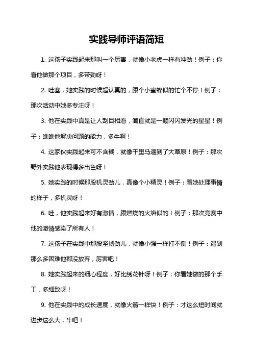 实践导师评语简短