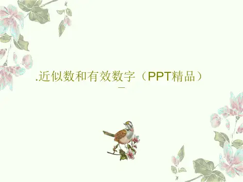 .近似数和有效数字(PPT精品)20页PPT
