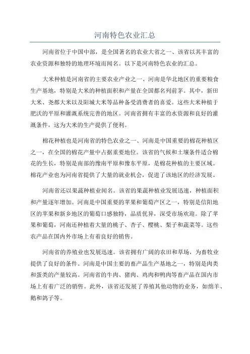 河南特色农业汇总