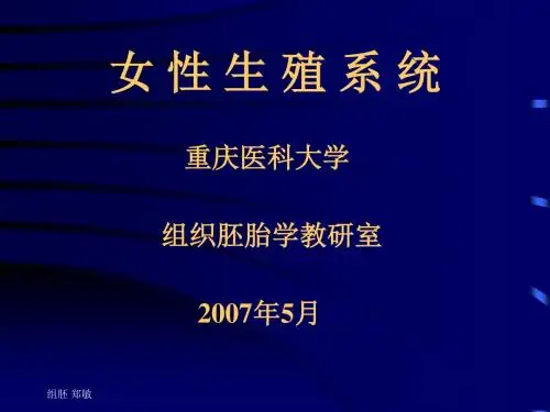 女性生殖系统课件