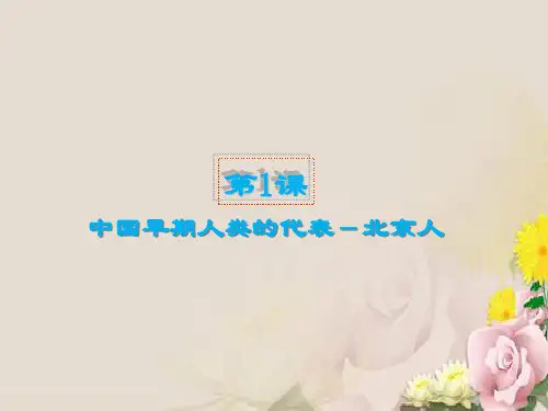 七年级上册第1课 中国早期人类的代表-北京人(共26张PPT)