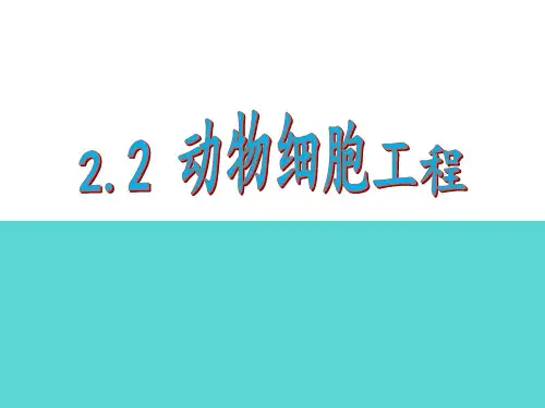 选修3-2.2动物细胞工程