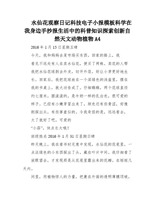 水仙花观察日记科技电子小报模板科学在我身边手抄报生活中的科普知识探索创新自然天文动物植物A4