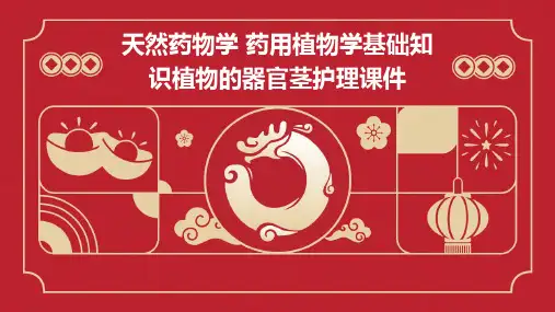 天然药物学 药用植物学基础知识植物的器官茎护理课件