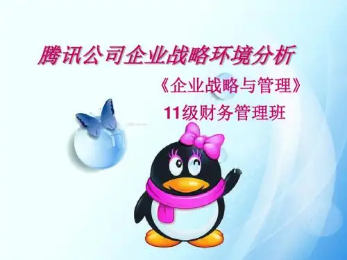 企业战略与管理小组作业