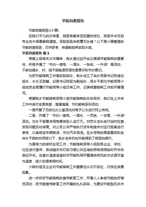 节能自查报告