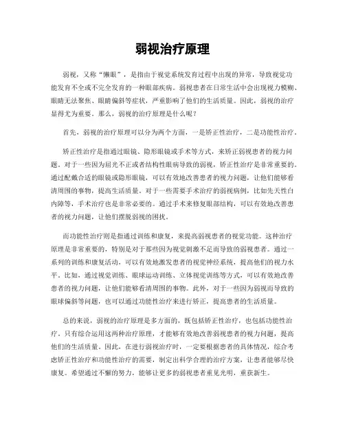 弱视治疗原理