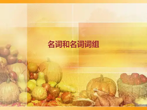 名词和名词词组