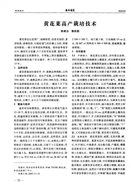 黄花菜高产栽培技术