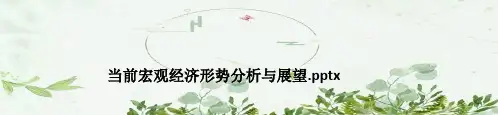 当前宏观经济形势分析与展望