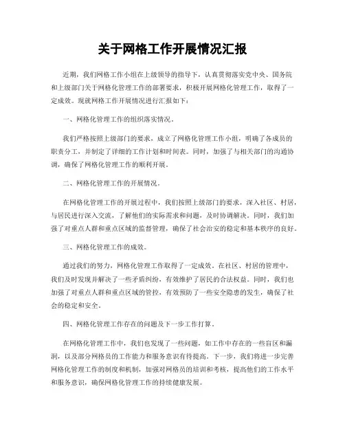 关于网格工作开展情况汇报