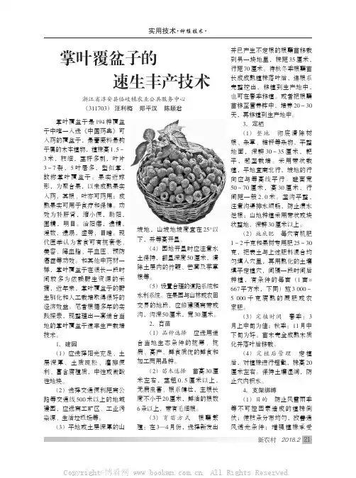 掌叶覆盆子的速生丰产技术