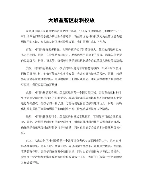 大班益智区材料投放