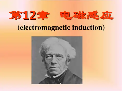 第12章电磁感应定律