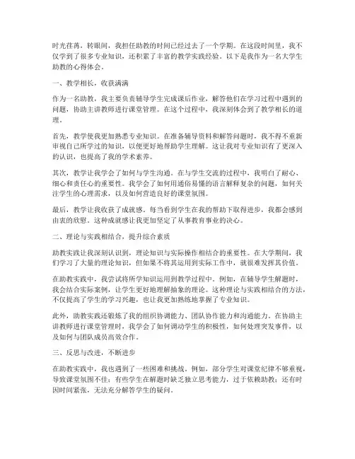 大学生助教实践心得体会