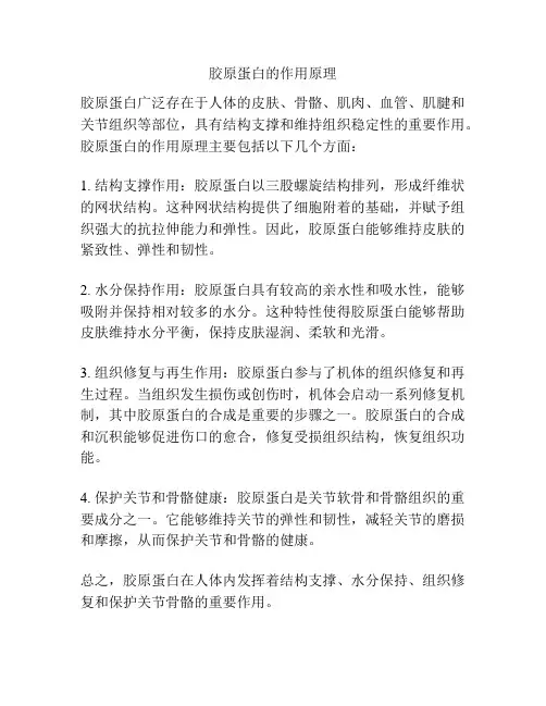 胶原蛋白的作用原理