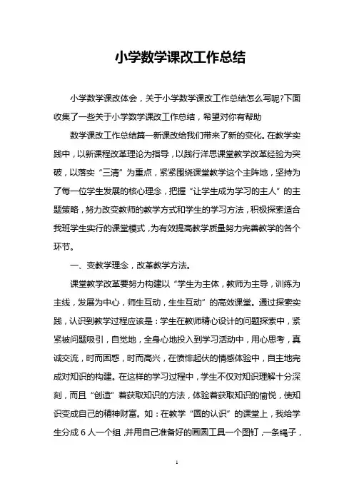 小学数学课改工作总结