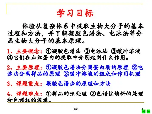 蛋白质的分离提取方法PPT课件